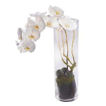 White Orchid Vase Arrangement Buy Online Or Call 01698 760200